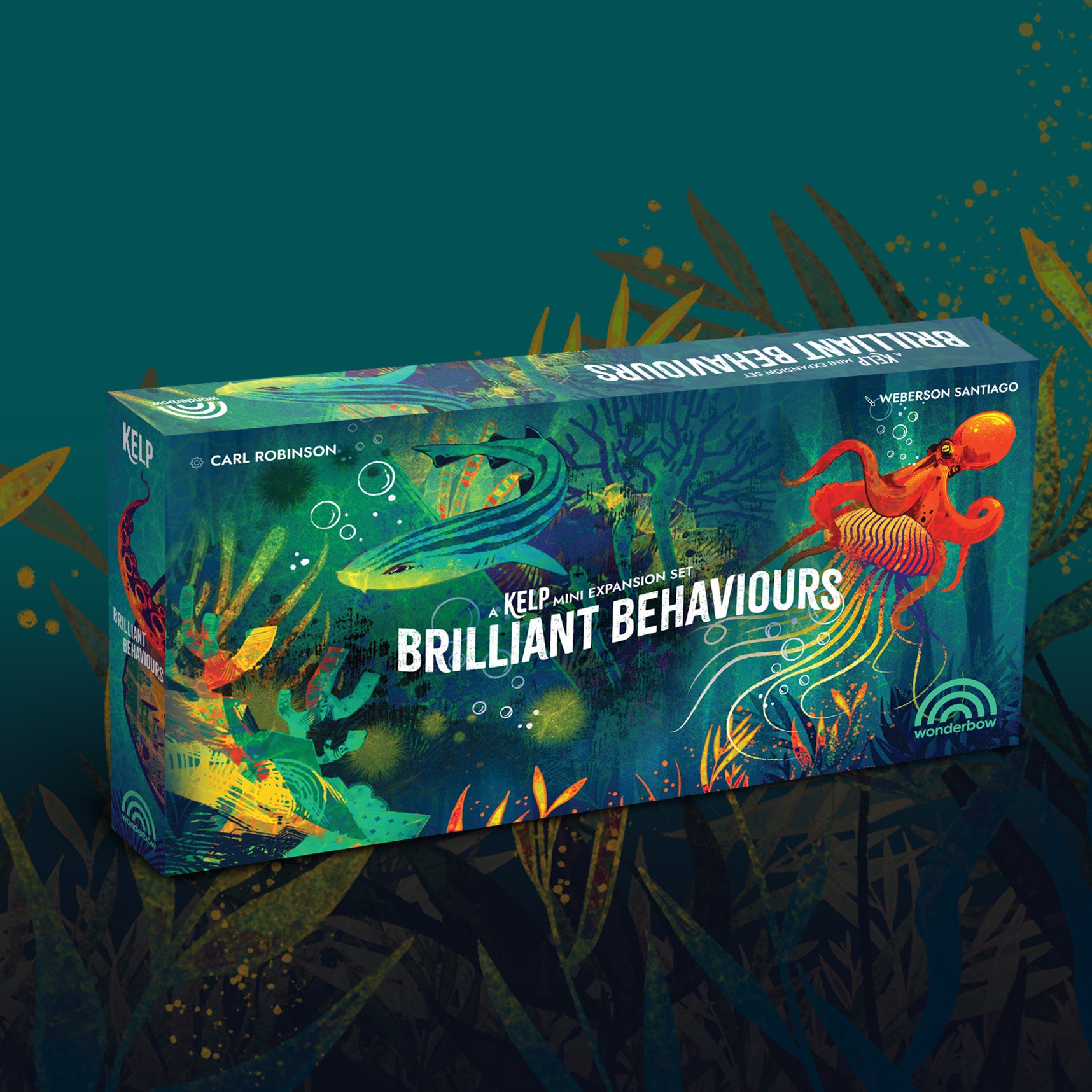 Kelp - Brilliant Behaviours