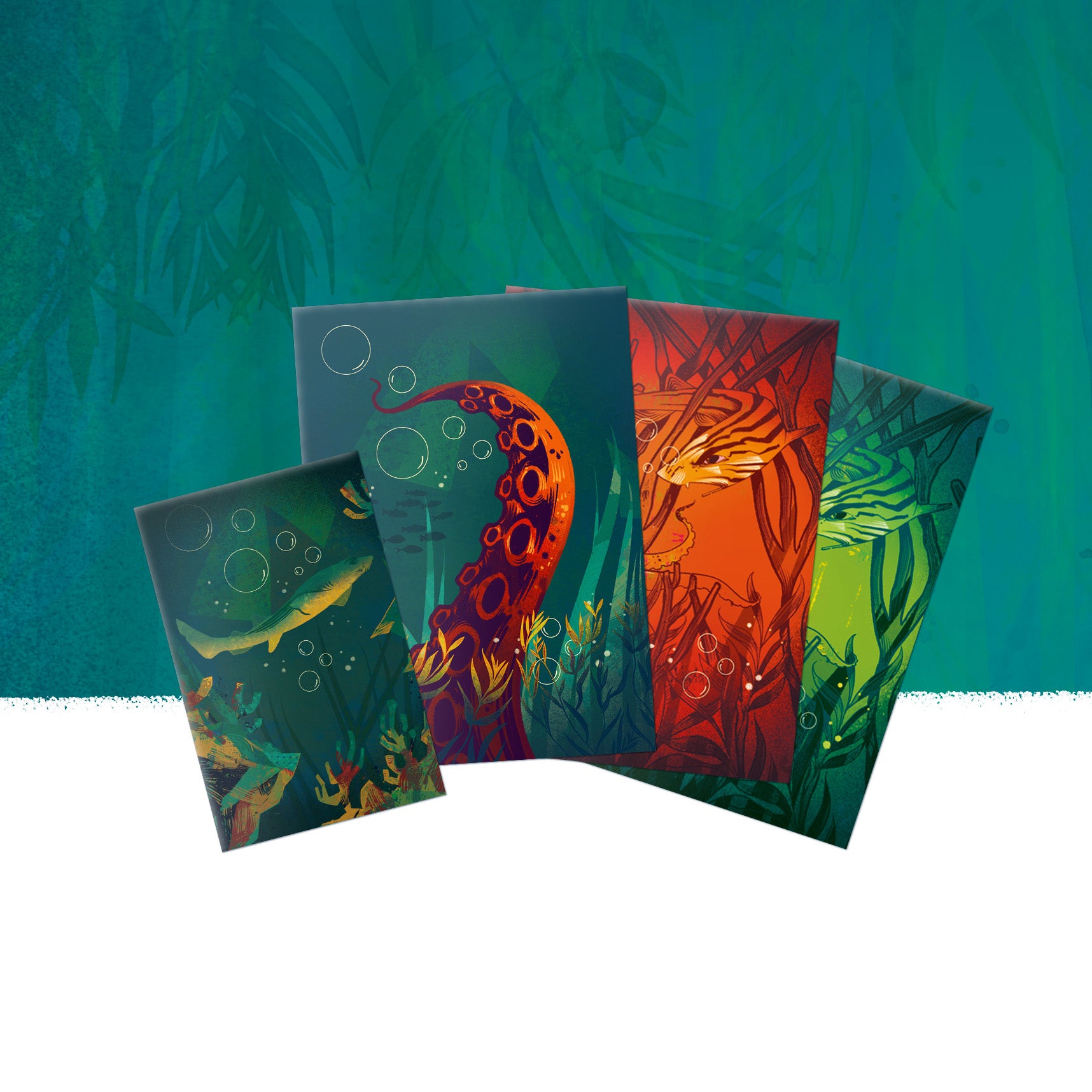 Kelp Bundle (German Edition)